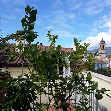 Via Roma 3* تيرني